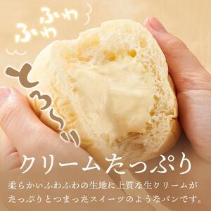 【定期便全6回】＜究極のふわとろ食感＞清水屋 生 クリームパン  12個 3種（カスタード・生クリーム・チョコ） | クリームパン