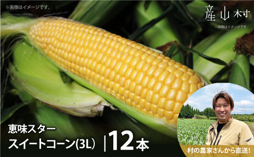 《先行予約！》採れたてスイートコーン 恵味スター 3L・12本セット とうもろこし　池部農園　熊本　産山村　阿蘇　野菜《2026年7月中旬-8月中旬出荷》 ---ubuyama_ibn_7_12p---