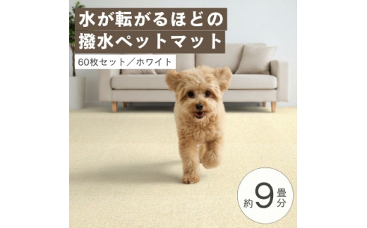 水が転がる程の撥水性!防水ペットマット「UKU」60枚セット ホワイト【複数個口で配送】【4074722】