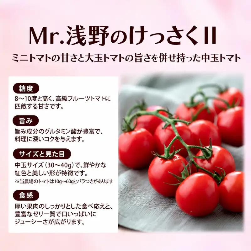 訳あり プレミアムトマト 2.5kg Mr.浅野のけっさく2 トマト