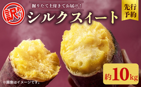 【先行予約】 訳あり シルクスイート 約 10kg さつまいも 2025年 11月以降順次発送予定 【 さつまいも 】