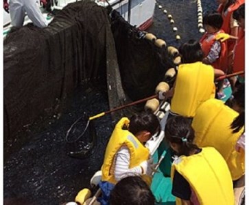 新鮮！魚料理が自慢のお宿「民宿はまけん」ペア宿泊・定置網漁体験付きプラン【hmkn0002】