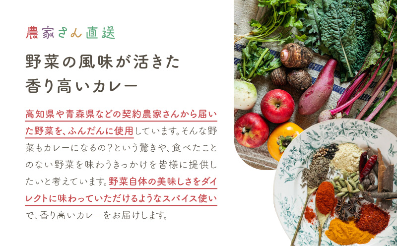 【and CURRY】カレー詰め合わせ3種セット【カレー レトルト 冷凍 スパイス スパイスカレー 小分け おすすめ 無農薬 ギフト 贈り物 】
