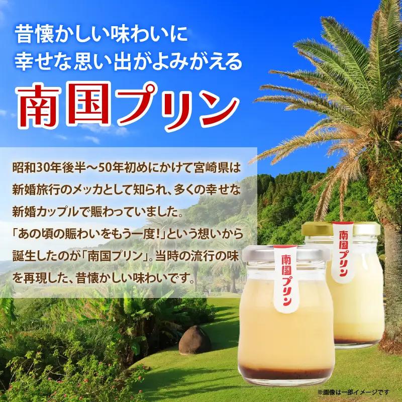 南国プリン「カタセボン(計6個)」 スイーツ 洋菓子 国産_T038-0025