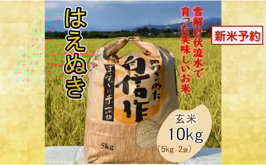 人気のブランド米　はえぬき　玄米10kg（飯豊町産）【新米予約】