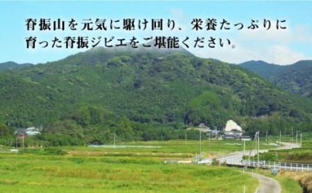 【6回定期便】≪脊振ジビエ≫3種のイノシシ肉セット 総量7.2kg 猪 佐賀 鍋 濃厚 さっぱり 小分け 新鮮 旨味 吉野ヶ里町/ブイマート・幸ちゃん[FAL062]