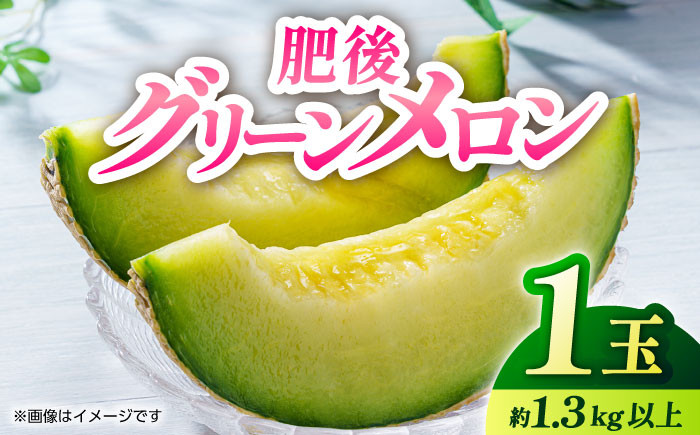 
            【先行予約】【数量限定】肥後グリーン 1玉【くまふる】 [ZBG022]
          