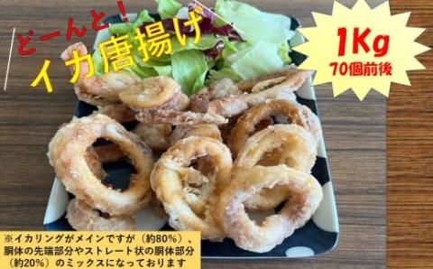 どーんと！イカ唐揚げ 1kg（約70個）_ss0563_CR