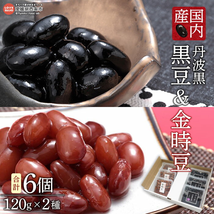 【ふるさと納税】＜国内産 丹波黒 黒豆＆金時豆セット （合計6個 120g×2種）＞※翌月末迄に順次出荷します。 黒大豆 煮豆 大粒 2Lサイズ おせち 年末 年始 おかず お茶請け あっさり 家庭用化粧箱 志賀商店 愛媛県 西条市 【常温】