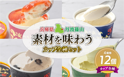 丹波篠山 素材を味わうアイスクリーム カップ全種セット 12個(4種類×3個) 兵庫県 丹波篠山市 アイスクリーム 濃厚 滑らか コク ご当地 パーティ アレンジ 冷凍配送 冷凍食品