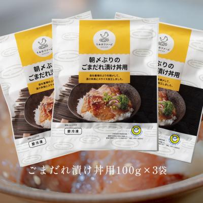 ふるさと納税 大月町 朝〆ぶり ごまだれ漬け丼用 100g×3袋 養殖 ブリ 鰤 小分け 冷凍 簡単調理 人気 海鮮丼 |  | 03