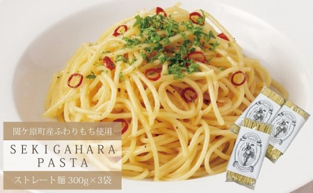 パスタ 関ケ原パスタ ふわりもち使用 ストレート麺 関ケ原町産 パスタ【900g(300g×3袋)】