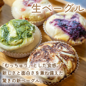 【定期便】 3回 生ベーグル おまかせ 5個 セット ベーグル