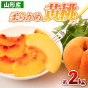 【ふるさと納税】山形産 柔らかめ 黄桃 約2kg(4～9玉) 【令和7年産先行予約】FS24-704