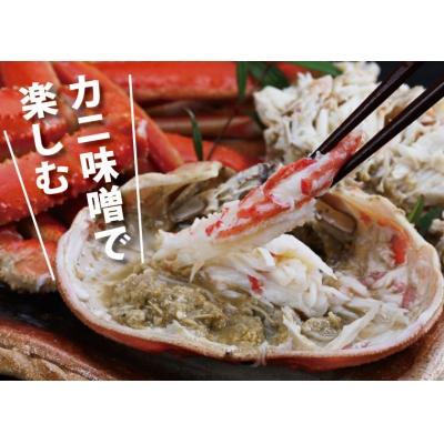 ふるさと納税 鳥取市 鳥取賀露港 訳あり浜茹で松葉がに 大 1枚(かねまさ・浜下商店) |  | 03