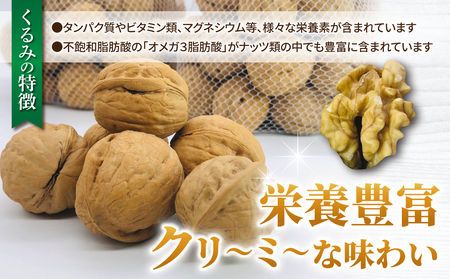 【アルファーム】令和7年産信濃くるみ　殻付きタイプ（Lサイズ）※2025年11月下旬以降発送　くるみくるみくるみくるみくるみくるみくるみ