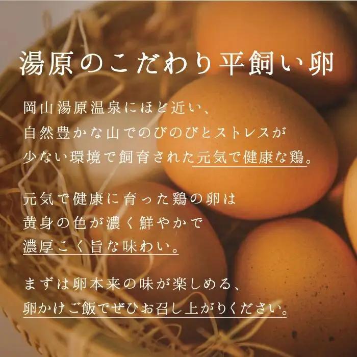 岡山県真庭産 あさひの輝き ギフトセット 30個（10個×3パック） 平飼い たまご 玉子 卵 無選別 こく旨 濃厚 黄身 白身 国産 地鶏 たまごかけごはん 贈答 無精卵 真庭市 こだわり 湯原 栄