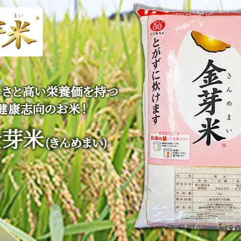 お米 無洗米 静岡県産 JAおおいがわ 金芽米 5kg お米