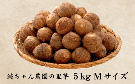 【先行予約】越前大野産 「純ちゃん農園の里芋 5kg」サイズM寸【10月下旬より順次発送】