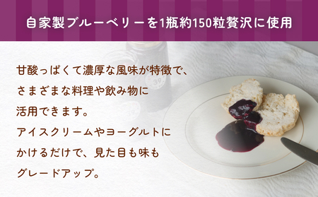 ブルーベリーピューレ 150g×3個 富山県 氷見市 ブルーベリー ソース フルーツ