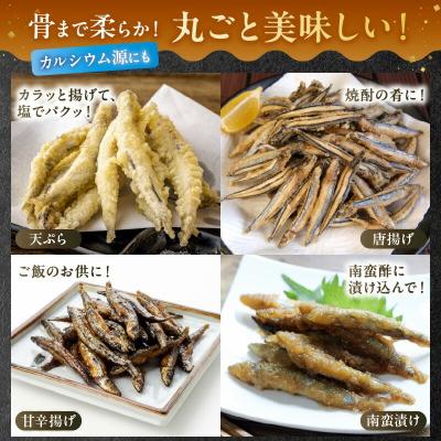 ふるさと納税 南九州市 鹿児島県産キビナゴ丸ごと冷凍1.5kg |  | 02