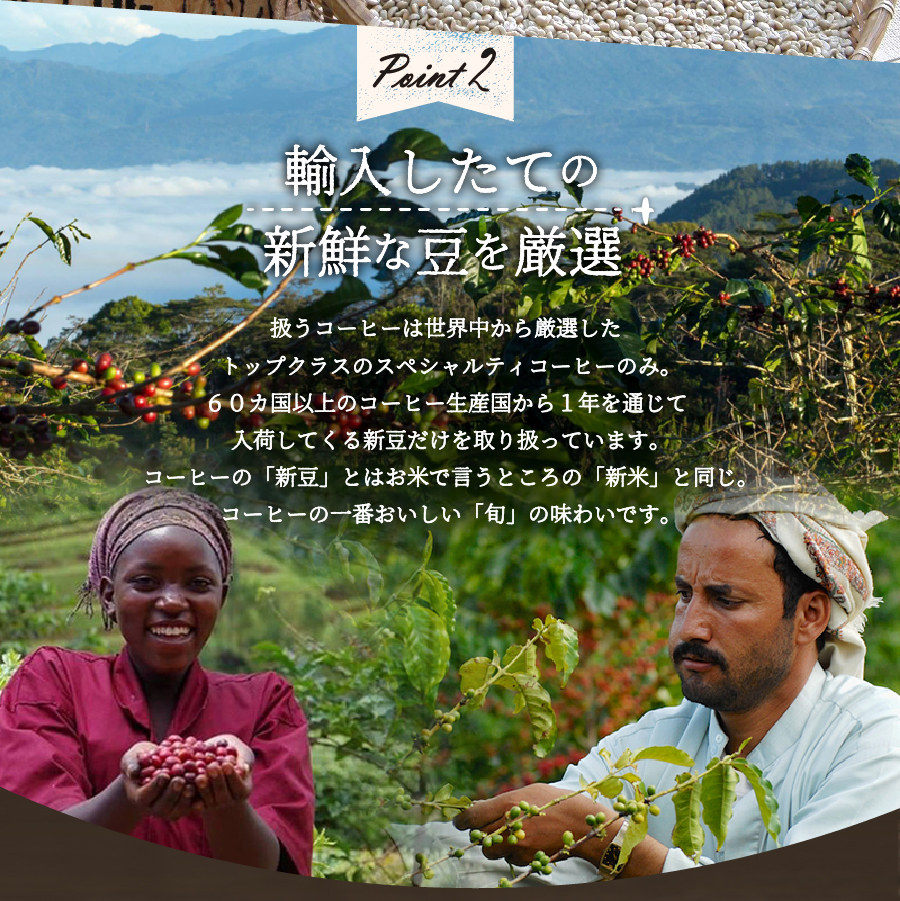 メール便【訳あり】八百万ブレンド　浅煎り（ドリップ　包12g×20ケ）