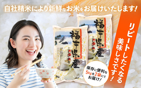 【新米】令和7年産 米 定期便3ヶ月コシヒカリ精米 10kg × 3回（計30kg）福井県産【白米 5キロ 10キロ 30キロ ブランド米 こしひかり お米 ごはん 人気品種 産地直送 新生活 kom