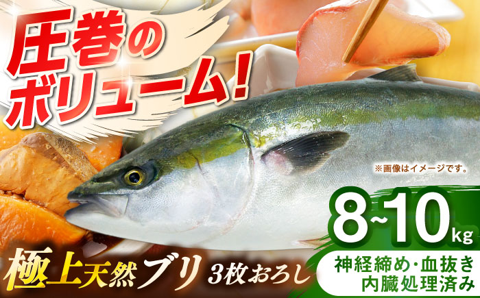 壱岐産　天然ブリ　3枚おろし　8kg～10kg《壱岐市》 【みやげ処 縁由】 [JBJ032]