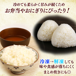 【無洗米】令和7年 彦根産 米 ミルキークイーン 5kg