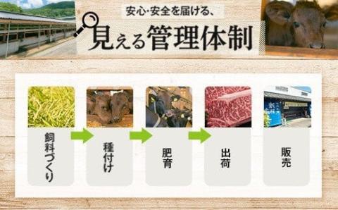 満足定期便　鹿児島黒牛贅沢満喫セット〈6回定期便〉