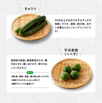 【定期便】産直おすず村 季節の野菜と果物 厳選 詰め合わせセット（大） 全4回【旬野菜 フルーツ 直売所 産地直送 宮崎県産】[G3804]