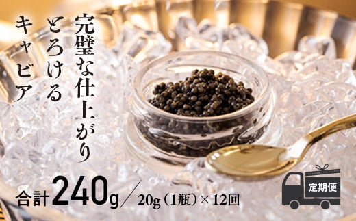 『定期便』:12ヶ月　THE・CAVIAR(ザ・キャビア)20g　 TF0495-P00066