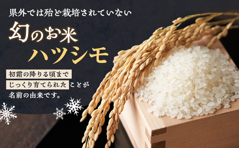 新米 令和6年産 岐阜県産 ハツシモ 10kg（5kg×2）