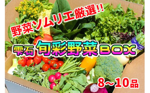 
野菜ソムリエ “産直松の実の松原店長” 厳選 旬菜野菜BOX（8品～10品） ／ 人気 産直 採れたて 野菜
