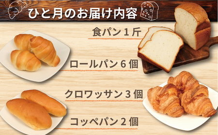 パン 定期便 全12回 詰め合わせ 定番 おいしい 米粉パン セット 手作りパン工房 みなみ えひめ南農業協同組合 米粉 食パン 1斤 ロールパン 6個 クロワッサン 3個 コッペパン 2個 ぱん パ
