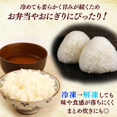 ふるさと納税 彦根市 令和7年産 ミルキークイーン白米無洗米10kg (5kg×2袋) 甘みと強い粘りが特徴 |  | 02