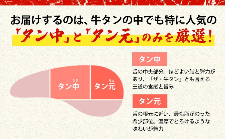 牛タン 牛肉 塩麹 250g《30日以内に出荷予定(土日祝除く)》熊本県 御船町 牛肉 タン たん 牛タン 焼肉 お試し 小分け 牛 牛たん タン中 タン元 牛タン---mifune_lcl_210_
