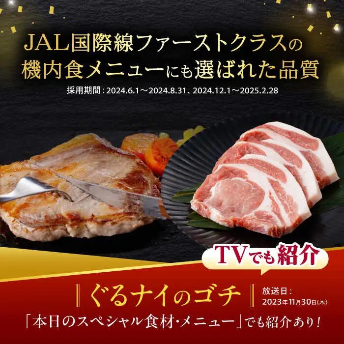 諫美豚ロースステーキ100g×8  AHAD045 豚ロース