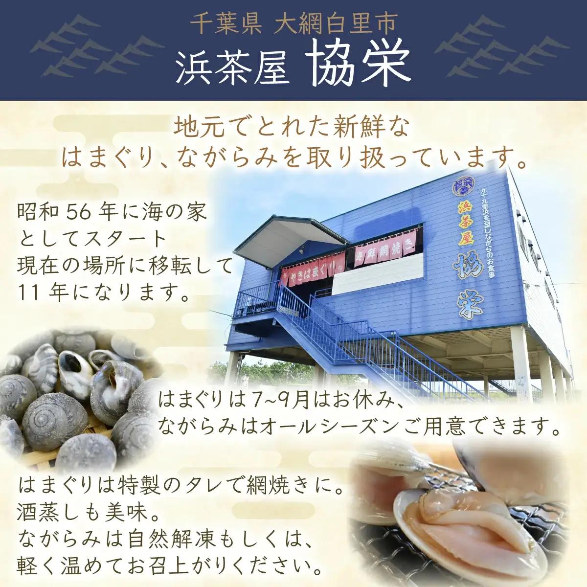 九十九里浜　天然ながらみ　1kg【名産】 ふるさと納税 ながらみ 幻の貝 九十九里産 貝 国産 千葉県 大網白里市 送料無料 P005