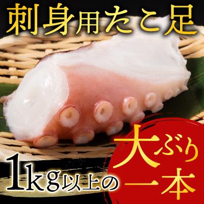 ふるさと納税 根室市 【北海道根室産】根室海鮮市場<直送>刺身用たこ足1本(1kg以上) A-28215 |  | 01