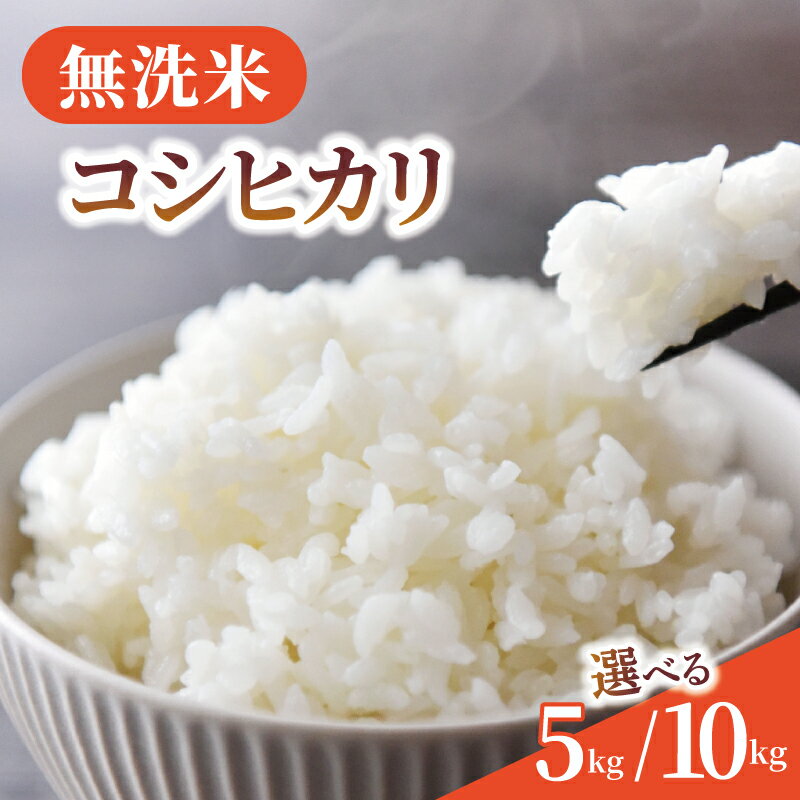 【ふるさと納税】 無洗米 コシヒカリ 選べる 5kg 10kg 令和7年産 新米 米 精米 白米 2025 7年産 お米 ご飯 無洗 むせんまい こめ コメ kome ごはん ライス こしひかり 家庭用 備蓄 防災 お弁当 産地直送 送料無料 国産 千葉県産 ふるさと納税 千葉 千葉県 旭市 BANJYO farm