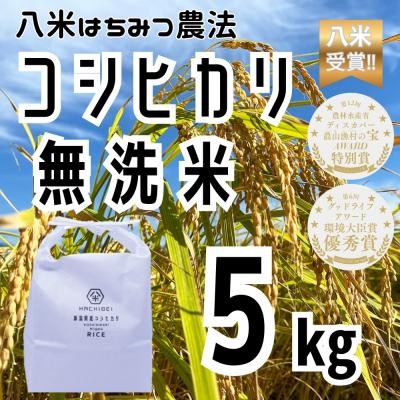 ふるさと納税 阿賀野市 【令和7年産】HACHIBEI 八米 はちみつ農法コシヒカリ 無洗米5kg