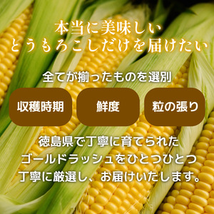 【6月下旬から7月下旬まで発送】とうもろこし ゴールドラッシュ 8kg以上 