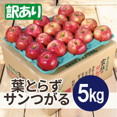 【ふるさと納税】【26年9月から順次発送】平均糖度12度以上! 葉とらずサンつがる 約5kg 訳あり 青森 りんご【配送不可地域：離島・沖縄県】【1734894】
