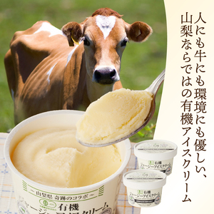 有機JAS認証ジャージーアイスクリーム　100ml×6個 アイスクリーム 有機アイスクリーム 有機JAS認証 有機ジャージー牛乳 生乳 100ml×6個 コラボ アイス 清泉寮 ジャージー牧場 茅ケ岳