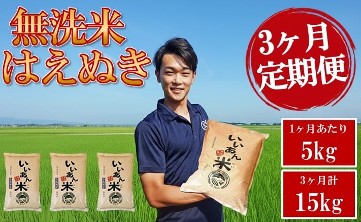 
                  ≪3ヶ月定期便≫ 無洗米 はえぬき 5kg×3ヶ月連続 計15kg 農家直送 いいあん米 山形県庄内産 毎月中旬頃にお届け 米 お米 精米 白米 定期便 AG アグレスト　SE0565
                
