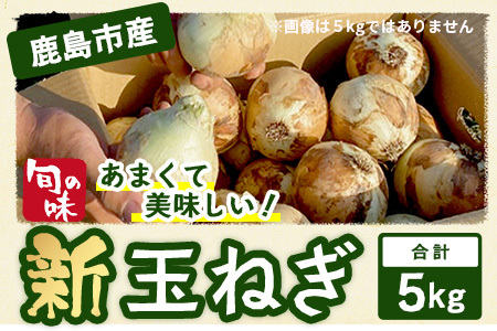 鹿島市産 新玉ねぎ 合計5kg