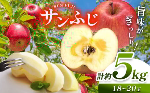 【先行予約】《寄附金額改定しました！》信州産 絶品りんご！国内生産1位 サンふじ 約5kg （18～20玉）【11月中旬頃～発送予定】| 果物 くだもの フルーツ 林檎 りんご リンゴ サンふじ 長野県 塩尻市