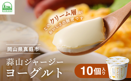 ひるぜんジャージーヨーグルト 10個 ヨーグルト 蒜山 岡山【hiru024-01】