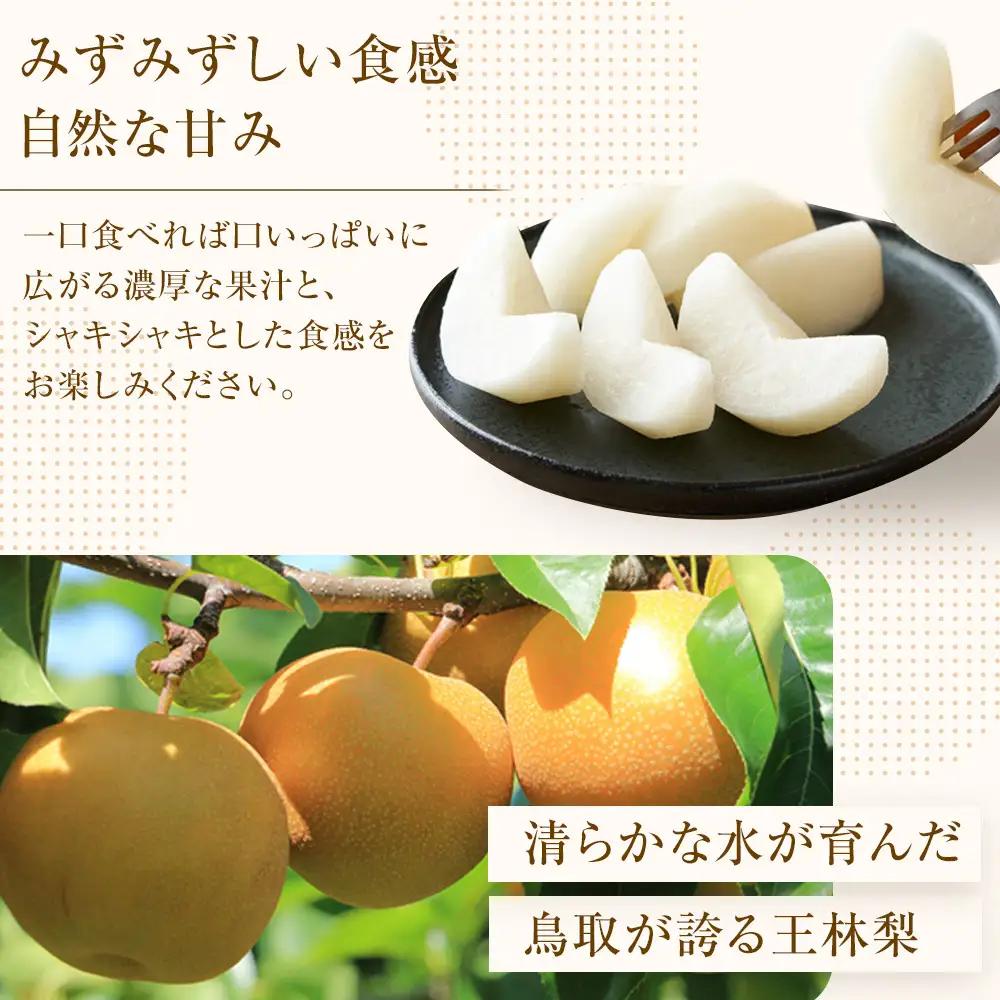 王秋梨  5kg JA ※2026年10月下旬～11月下旬頃に順次発送予定 |梨